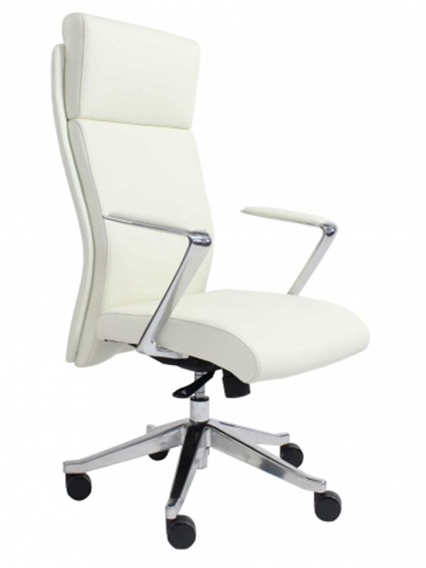Ceo Ejecutiva
